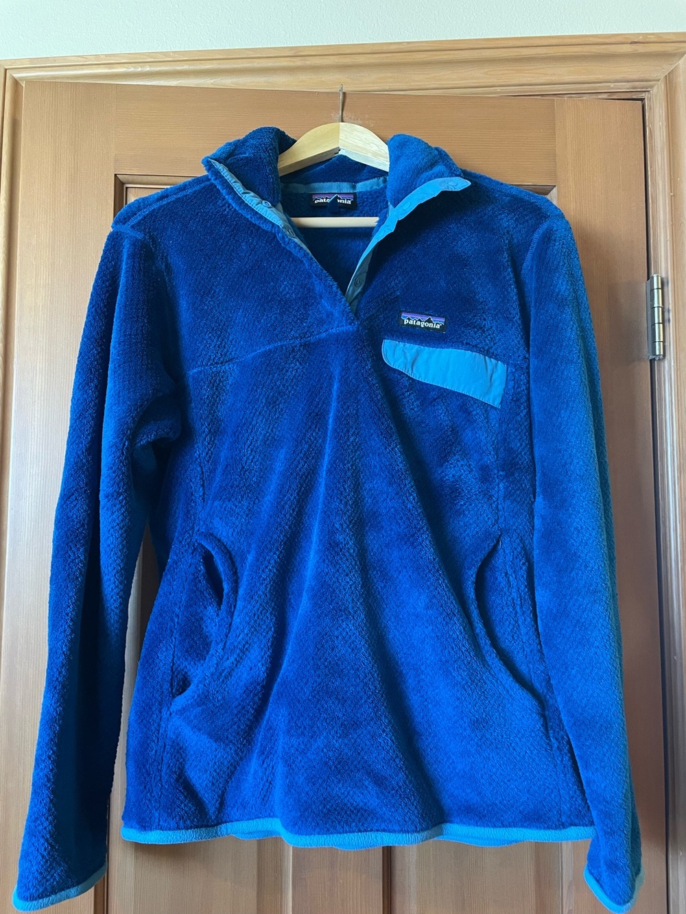 Patagonia women’s fleece pullover
